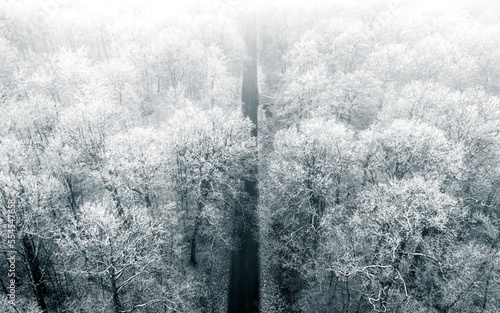 aerial view of road between snow covered trees in fog