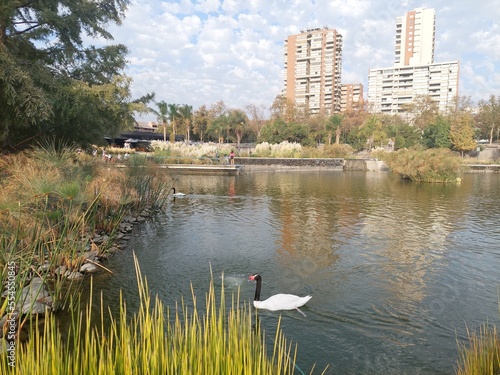 Diversidad de paisajes