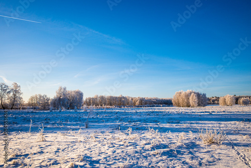 Large winter meadow with blue sky.