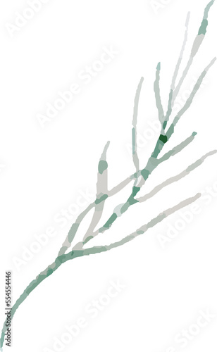 branch isolated