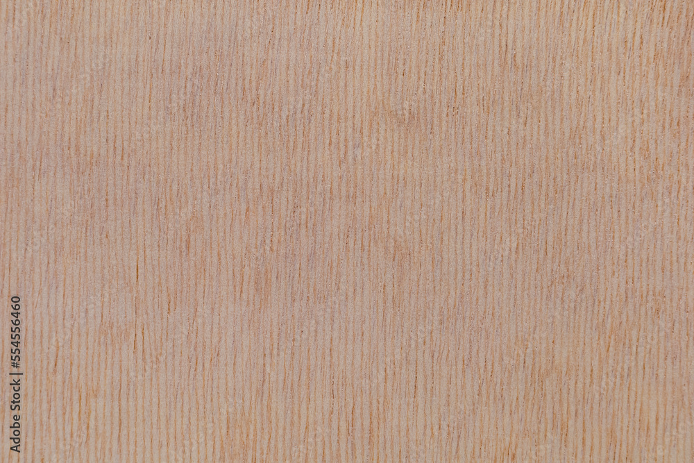 Light rough textured cut surface of an African tree. Wood background or blank for design Light rough textured cut surface of an African tree. Wood background or blank for design