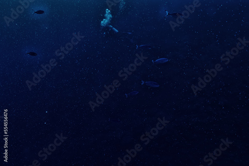 Fototapeta Naklejka Na Ścianę i Meble -  bubbles under water diving background