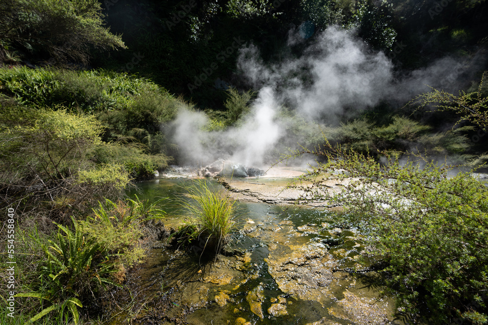 Steam rising at waimangu volcanic valley in Rotorua New Zealand Steam rising at waimangu volcanic valley in Rotorua New Zealand