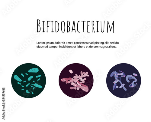 Probiotics. Lactic acid bacteria. Good microorganisms for gut, intestinal flora health. Microflora. Microbiome. Bifidobacterium, lactobacillus, lactococcus, thermophilus streptococcus. Vector banner