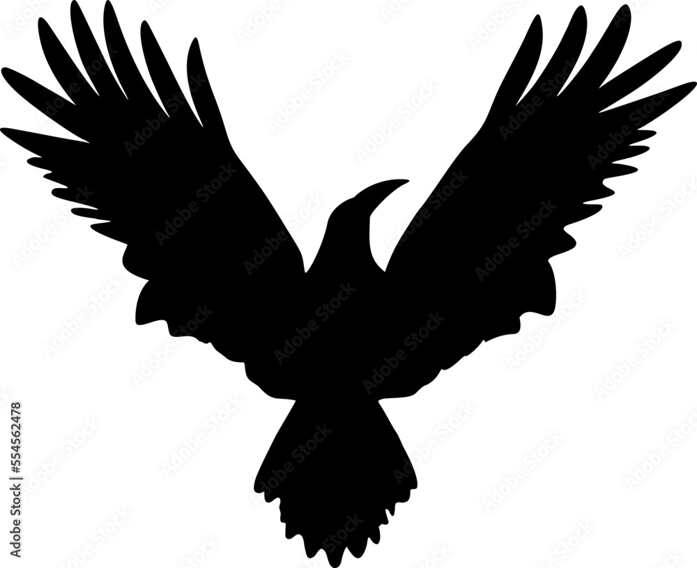 Obraz premium Crow silhouette illustration