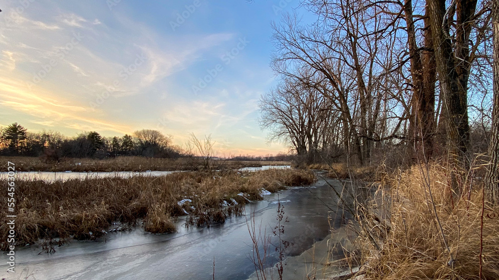 Creek with trees late fall