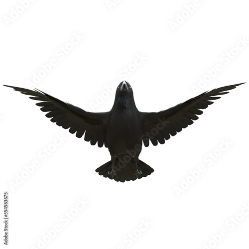 Raven isolated on white background 3d illustration