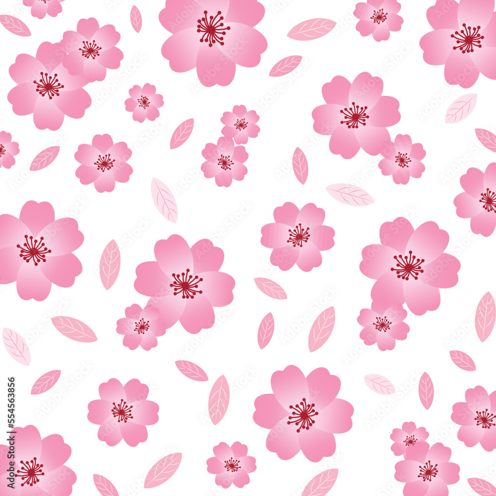 Vector illustration of beautiful sakura flower and leaf on white background Vector illustration of beautiful sakura flower and leaf on white background