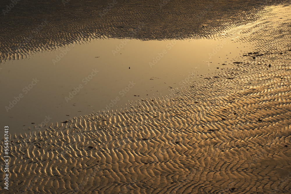 Obraz premium 夕景