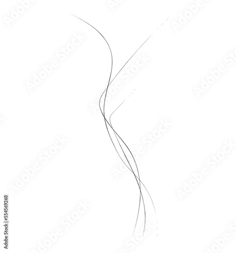 Φωτογραφία Concept trees logo - Vector