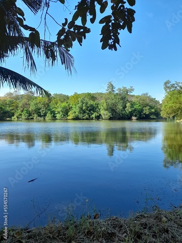 lake and trees