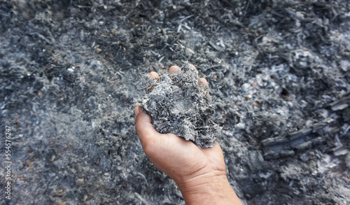Hand holding ashes for use as fertilizer to nourish trees planted in agricultural gardens