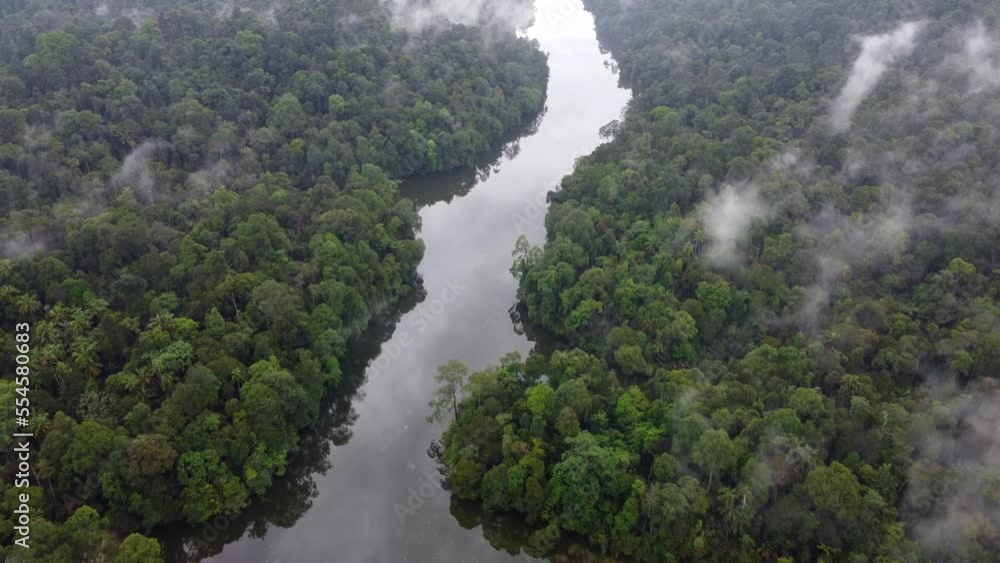 Aerial view look down river lake of rainforest Malaysia in misty day Aerial view look down river lake of rainforest Malaysia in misty day