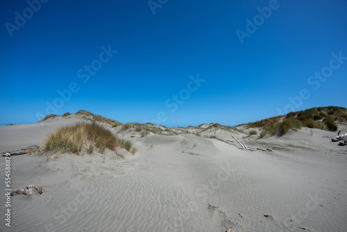 Dunes at Foxton Beach in New Zealand on a sunny day