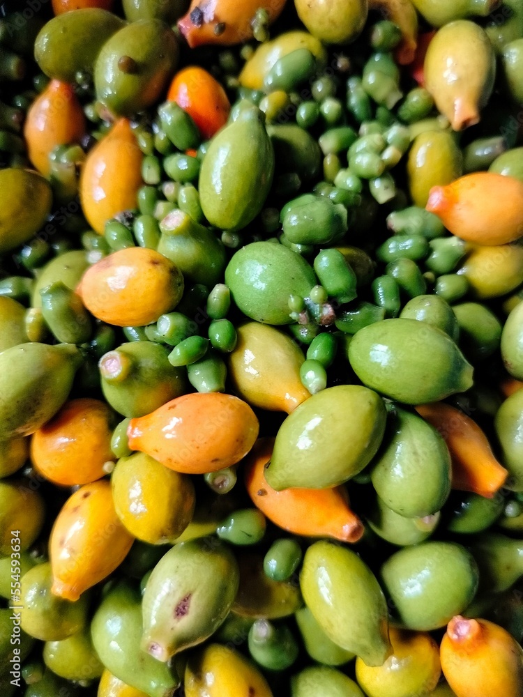 color yellow and green of gnetum seed color yellow and green of gnetum seed