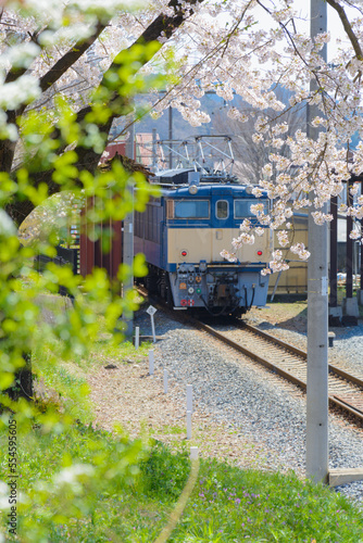 桜とEF63電気機関車