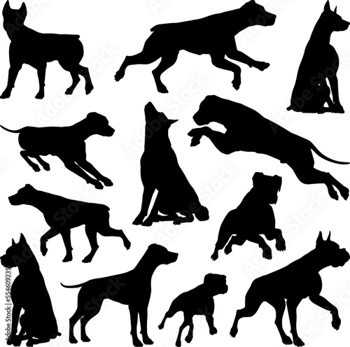 A set of detailed animal silhouettes of a pet dog