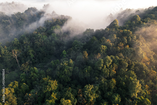 Sunrise in the forest,Aerial view of thick morning fog © artrachen