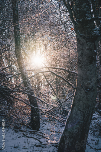 levé de soleil féérique photo