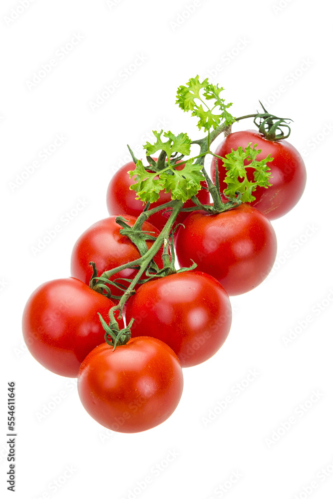 Tomato branch with parsley