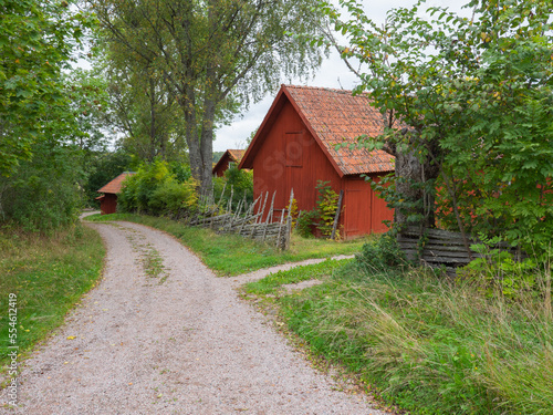 A typically red wooden cottage and barn in a Swedish summer landscape