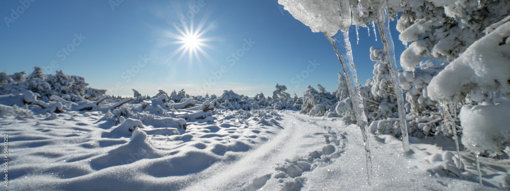 Stunning panorama of snowy landscape in winter in Black Forest - Snow winter wonderland snowscape with blue sky, close-up of frozen tree branch with icicle - obrazy, fototapety, plakaty 