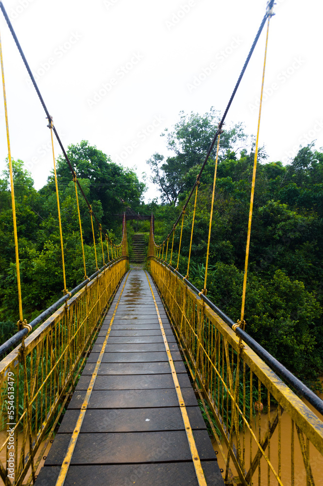 Obraz premium bridge over the river
