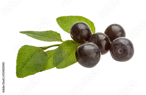 Картината върху платно Blueberry