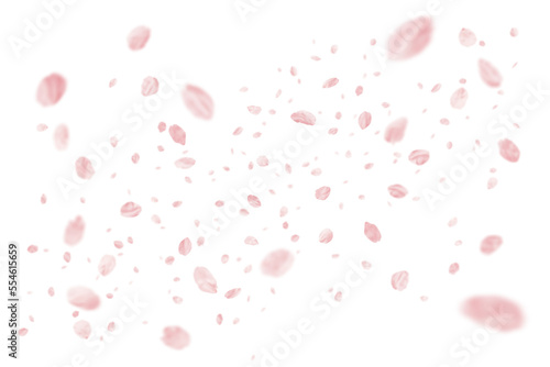 Leinwand Poster 切り抜きで使える、リアルな桜の花吹雪