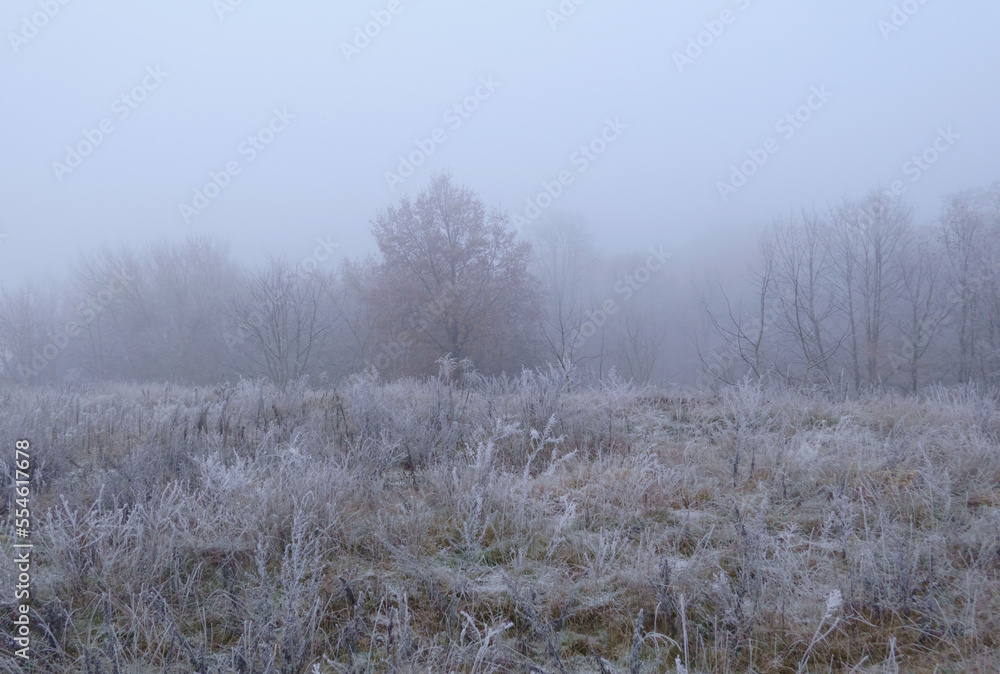 Foggy Winter Landscape with Trees and Grass Covered with Frozen Rime. White Rime on Blades of Grass and Leafless Tress. Foggy Morning Outside the City. Winter Nature. No People. Frost on the Fields. Foggy Winter Landscape with Trees and Grass Covered with Frozen Rime. White Rime on Blades of Grass and Leafless Tress. Foggy Morning Outside the City. Winter Nature. No People. Frost on the Fields.