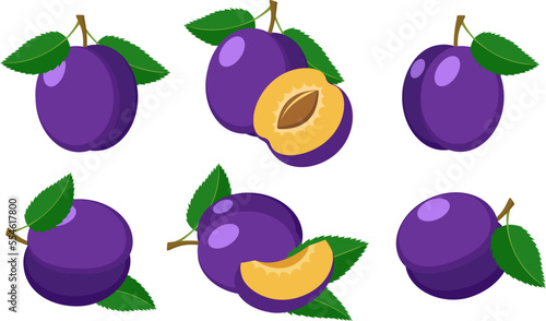 Cartoon plums on white