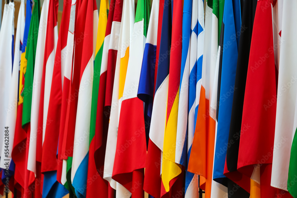 flags of Coutries during the international Meeting