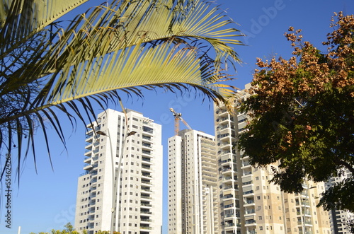 Modern high-rise residential buildings under blue sky. Palms leaves in the foreground. Construction crane. Concept: a pleasant place to live, a real estate agency, investment. Copy spase