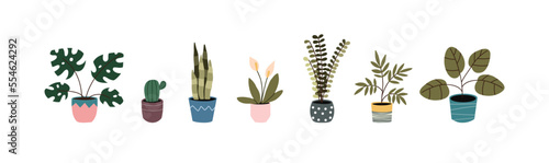 Potted plant. Houseplants in flower pot. Vector bundle of trendy plants