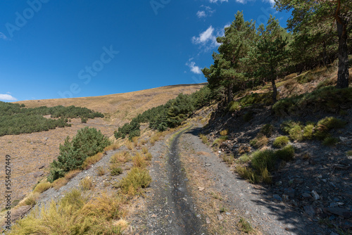 dirt road in the Sierra Nevada mountain in southern Spain