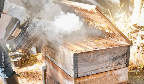 Bee farming, wood box and smoke with nature and beekeeping, honey extraction and natural product outdoor. Farmer, beekeeper and beehive, organic with manufacturing and production process with bees. © L Ismail/peopleimages.com