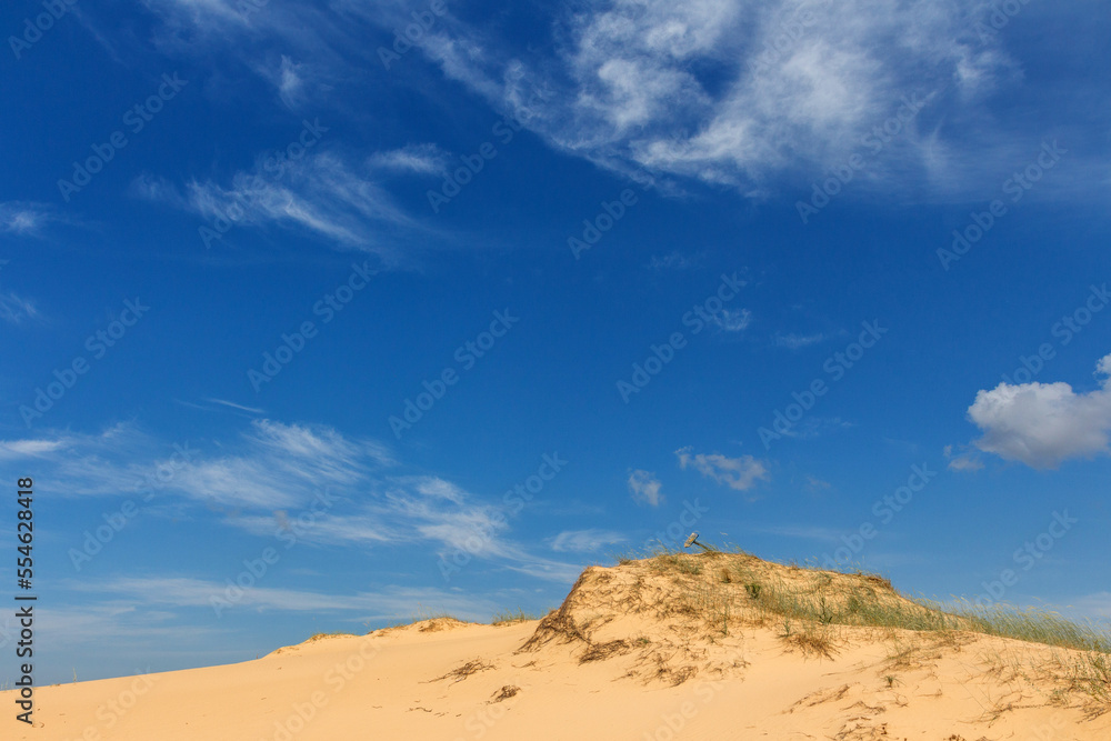 View of the Oleshkiv sands - the Ukrainian desert near the city of Kherson. Ukraine View of the Oleshkiv sands - the Ukrainian desert near the city of Kherson. Ukraine
