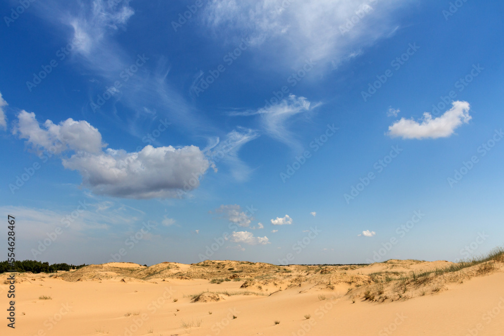 View of the Oleshkiv sands - the Ukrainian desert near the city of Kherson. Ukraine