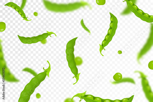 Green pea background. Flying or falling fresh green pea isolated on transparent background. Can be used for advertising, packaging, banner, poster, print. Flat design. Vector illustration