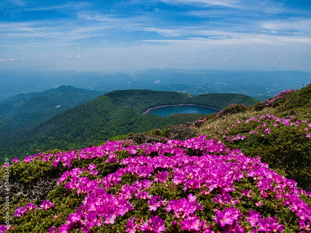 韓国岳からみた大浪の池とミヤマキリシマ 韓国岳からみた大浪の池とミヤマキリシマ