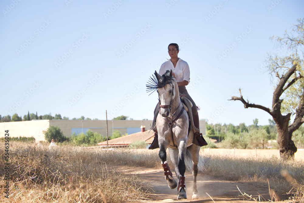 Beautiful young woman trotting with her horse on a path in the countryside on a sunny day. Concept horse riding, animals, dressage, horsewoman.