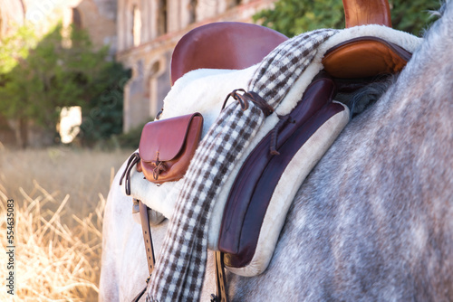 Detail of cowboy saddle placed on a horse in the field. Concept horse riding, animals, dressage, horsewoman, care, saddle.