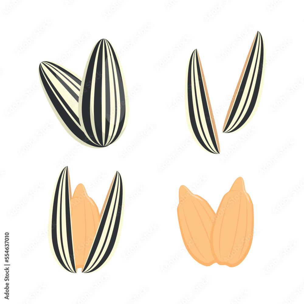 sunflower seed food illustration design sunflower seed food illustration design