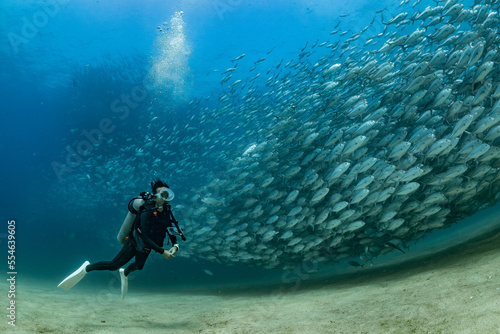 scuba diver with Cabo Pulmo jack tornado under sunny sky