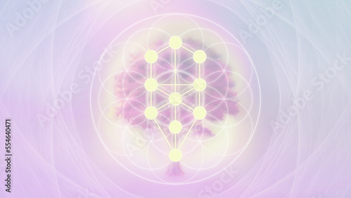 Photography Tree of Life Sacred Geometry Illustration, Cover Image, Thumbnail