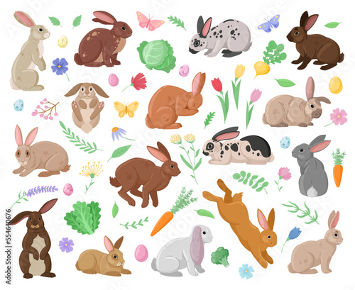 Cartoon spring bunnies. Cute rabbits, easter eggs and vegetables, funny haring animals with flowers and leaves flat vector illustration set. Wildlife eared bunny collection