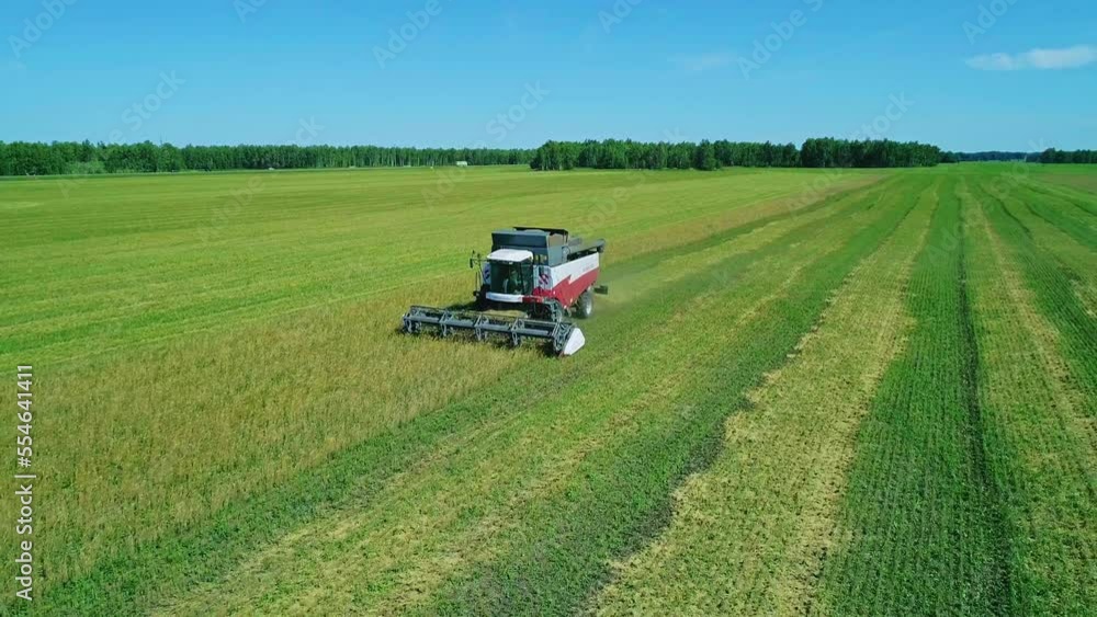 Aerial of combine working in the field harvesting crops. Gathering season Aerial of combine working in the field harvesting crops. Gathering season