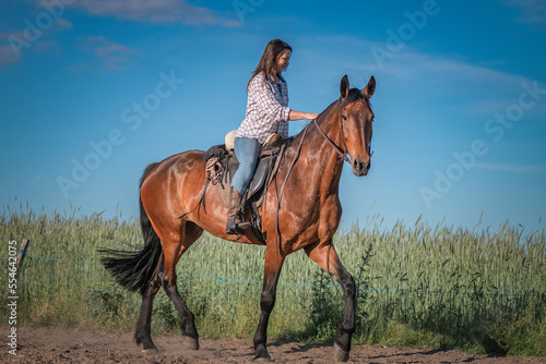 Молодая красивая тёмноволосая девушка скачет на лошади по летнему полю.