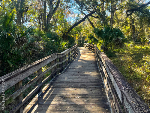 The hiking trails at a State Park in Orlando, Florida.