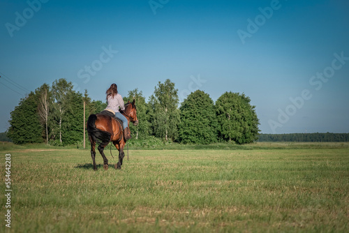 Молодая красивая тёмноволосая девушка скачет на лошади по летнему полю. © shymar27
